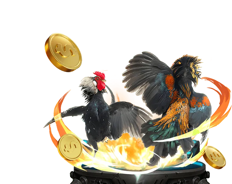 Người chơi đang phân tích trận đấu để đặt cược